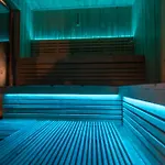 Lights Zakopane 公寓 考斯赛力克