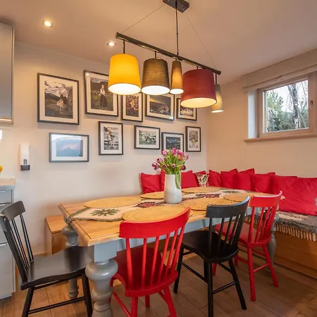 Lights Zakopane * 考斯赛力克