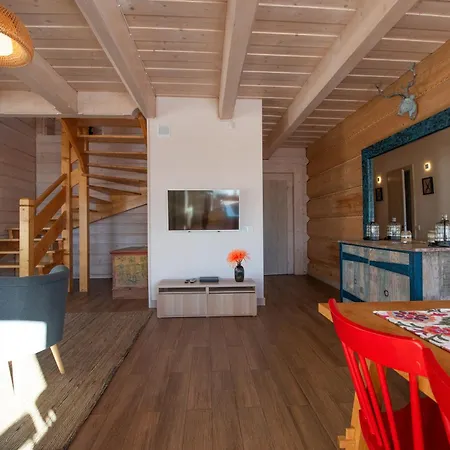 Lights Zakopane 公寓 考斯赛力克