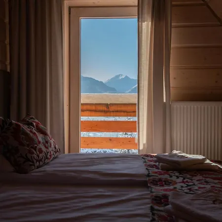 公寓 Lights Zakopane *